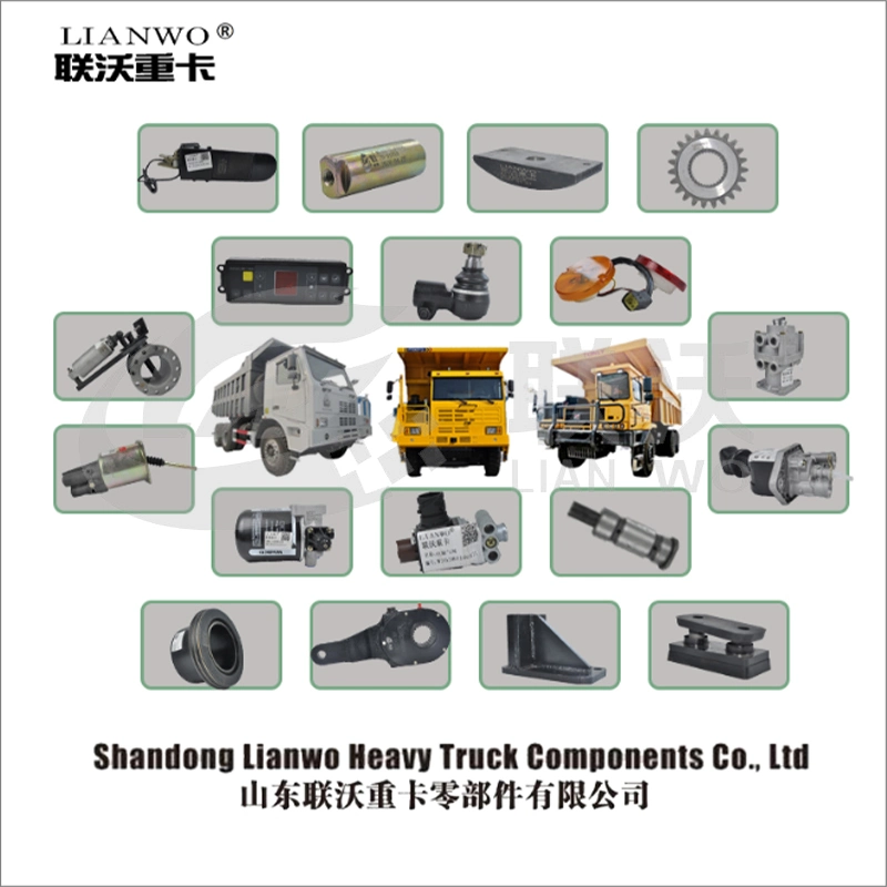 Shacman F2000 F3000 M3000 H3000 Wd615 Wd618 Wd12 Weichai Gearbox Parts Dz95319470003 Tie Rod End